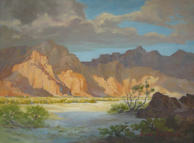 Donald Schaffer : Desert landscape