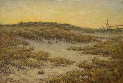 Melville Wire : Rabbits in Sand Dunes