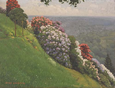 Enzo Gazzone : I rododendri della Burcina (Biella)