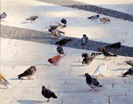 Iftah Dori : Pigeons in the Square