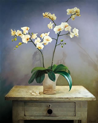 Albert Benaroya : Still life with orchids