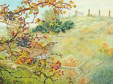 Elizabeth Walsh : Autumn Fruit in Landscape