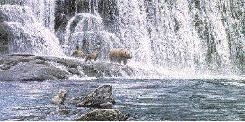 Ronald Parker : Grizzlies in the Falls