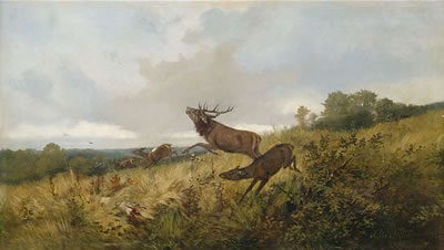 Christopher Drathmann : Rotwild in herbstlicher Landschaft.