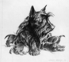 Morgan Dennis : Black Scottie with Puppies