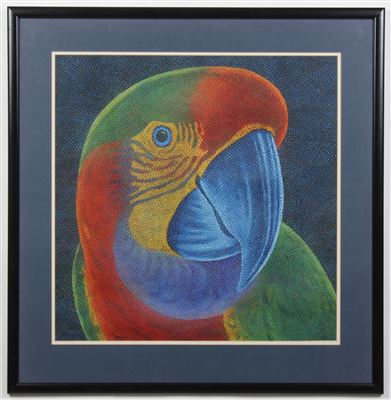 Claudio Tozzi : Parrot