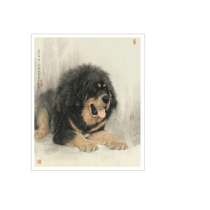 Sheng Yong Wang : TIBETAN MASTIFF