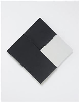 Lygia Clark