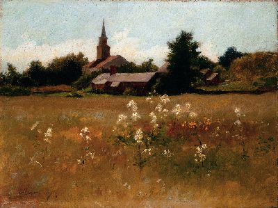 William John Whittemore : Queen Anne's Lace