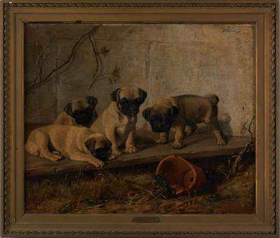 Frank Whiting (Franklin) Rogers : Four Pugs