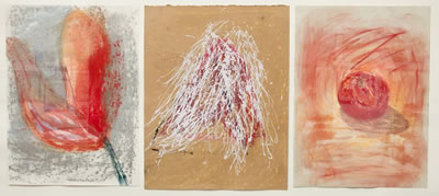 Carl Palazzolo : Untitled (triptych)