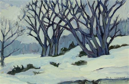 Dorothy Wyman : Fenway Winter