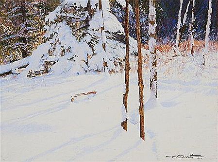 Neil Drevitson : Snow Laden Branches