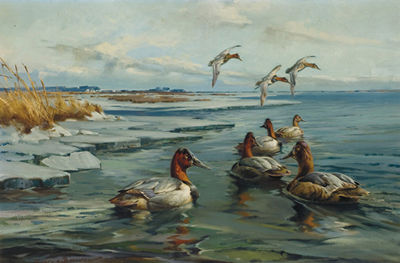 George Browne : CANVASBACKS