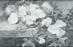 Adelaide Coburne Palmer : White Spring Blossoms