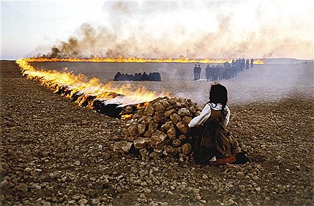 Shirin Neshat