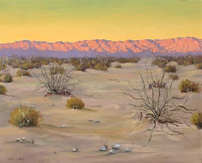 Carl Bray : Desert Sunset on Mountains