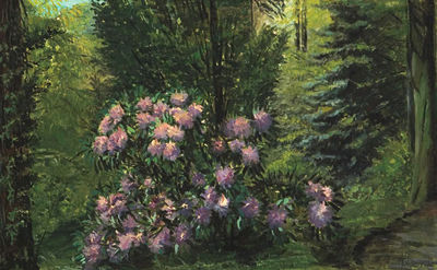 Frank DuMond : Pink Rhododendron