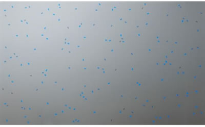 Tatsuo Miyajima : CHANGING TIME WITH CHANGING SELF - BLUE WIND