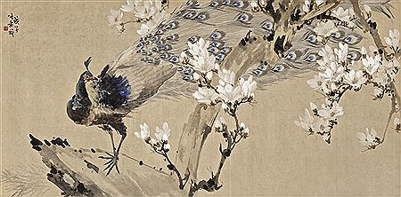 Shuqi Zhang : MAGNOLIA AND PEACOCK