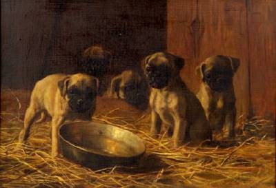 Frank Whiting (Franklin) Rogers : Five Pug Puppies