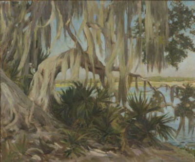 Helen DuMond : Spanish Moss