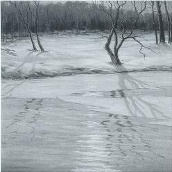 Carroll Leja Nichols : Stream in Winter