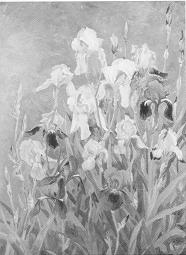 Ethel Easton Paxson : Irises