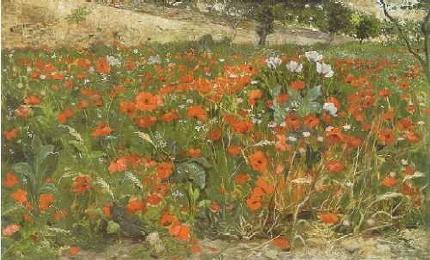 Julius Rolshoven : Field of Poppies