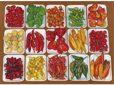 Eduardo Bortk : SUNLIGHT AND PEPPERS