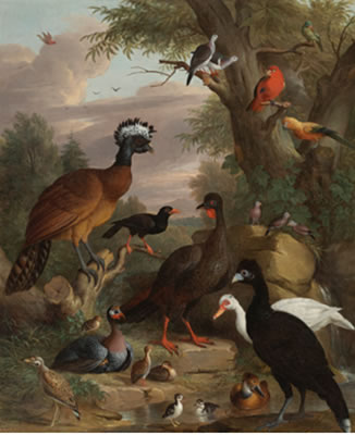 Jacob Bogdani : AN ASSEMBLY OF BIRDS IN A PARKLAND LANDSCAPE, INCLUDING A BLUE PEACOCK; A PAIR OF DOMESTIC CRESTED DUCKS; A DOMESTIC GUINEAHEN; A BARBARY COASTDUCK; A RED CRESTED COCKATOO; A SHELDUCK; A TUFTED DUCK; A SANDPIPER; AYELLOW-HEADED AMAZONIAN PARROT; A SPECKLE