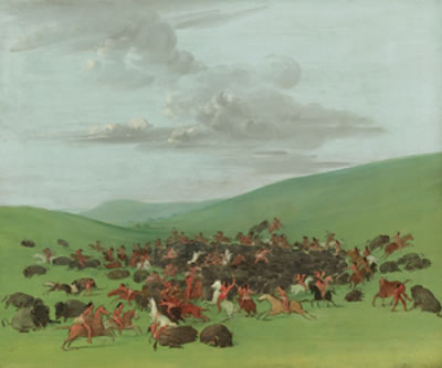 George Catlin : BUFFALO CHASE, A SURROUND BY THE HIDATSA