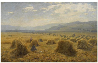 Duncan Cameron : THE HAYMAKERS