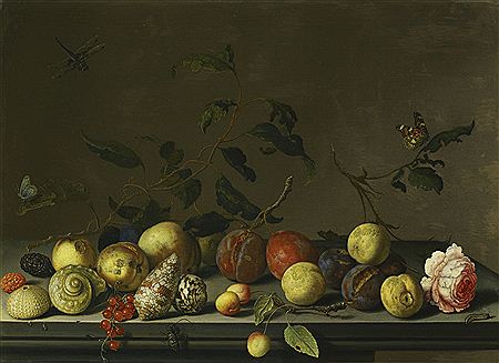 Balthasar Van Der Ast : A STILL LIFE OF FRUIT AND SHELLS WITH A ROSE AND VARIOUS INSECTS UPON A STONE LEDGE