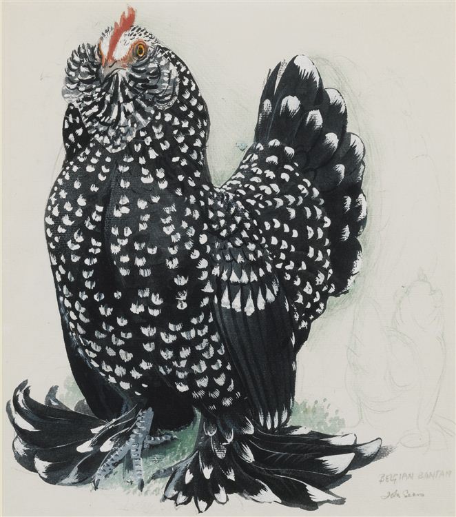 Charles Frederick Tunnicliffe : From Auction Records