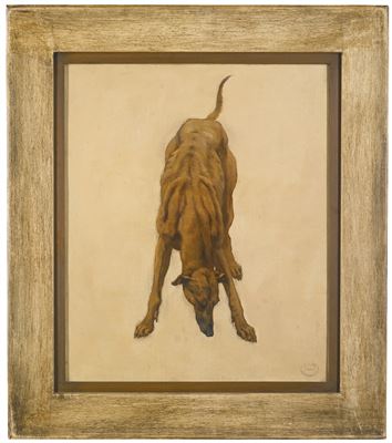 Camille Van Camp : A STUDY OF A GREYHOUND