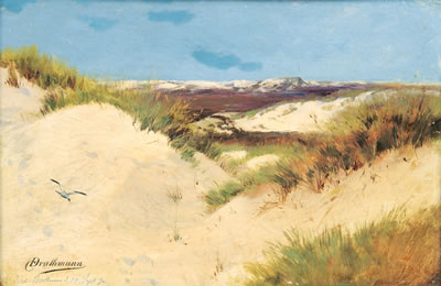 Christopher Drathmann : Dunes on Borkum