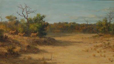 Paul Rose : IMPALA IN THE BUSHVELD