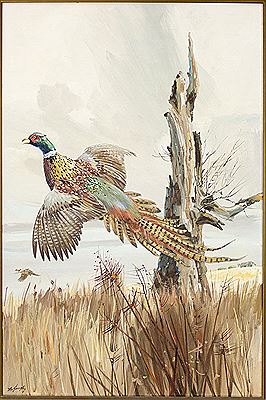 Franklin Clay McGaughy Jr : Pheasant