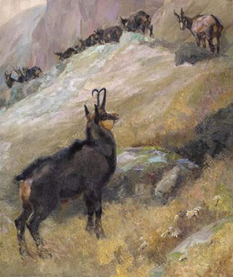 Eugen Osswald : Chamois in the mountains