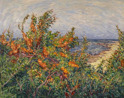 Karl Hennemann : Blossoming Seabuckthorn on the Baltic Sea.