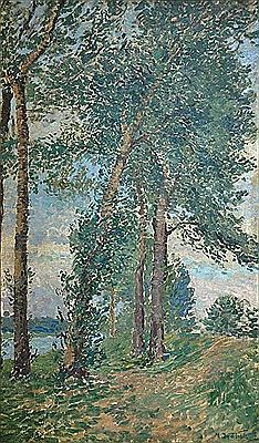 Milos Jiranek : Birches