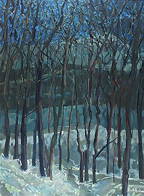 Jim Whitlock : 'Winter Light-Maine'