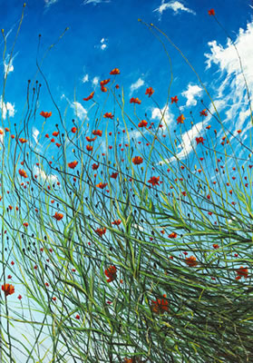 Mark (Rasher) Kavanagh : POPPIES, 2008