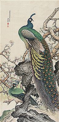 Bonian Wu : PEACOCK