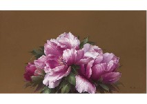 Kuniaki Doi : Peony