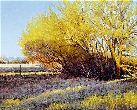 Jerry Inman : Spring Willows