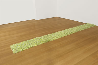 Felix Gonzalez-Torres : 'Untitled' (L.A.)