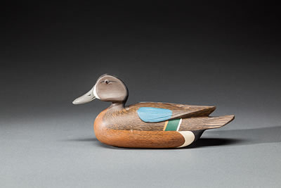 Caleb Ridgway Marter : Blue-Winged Teal