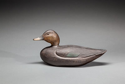 Charles H Hart : Black Duck